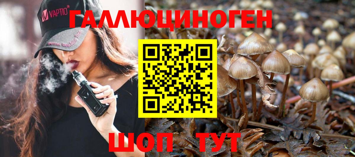 где продают наркотики  Вход с VPN  Псилоцибиновые грибы ЛСД  Артёмовский  Галлюциногенные грибы ЛСД 